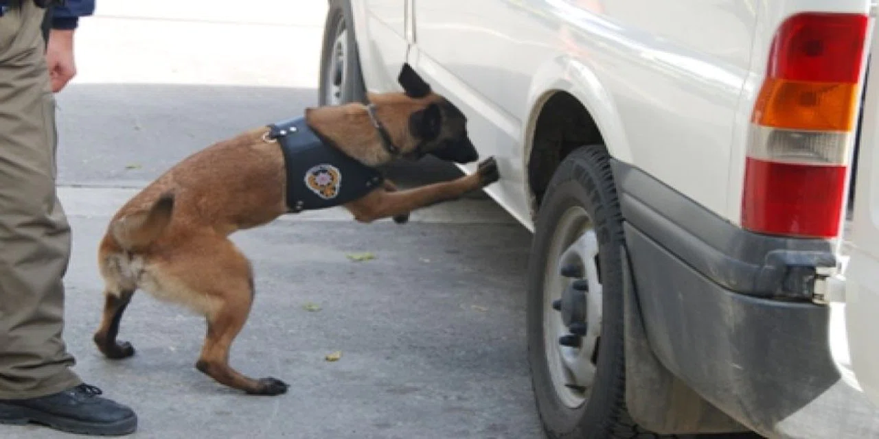 Dedektör köpek kokladı, araçta uyuşturucu çıktı