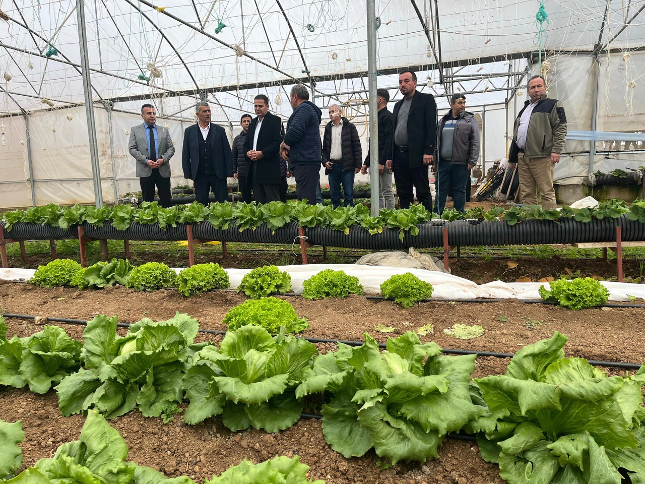 Beyşehir'de yaz seraları üreticilerle buluşturuldu