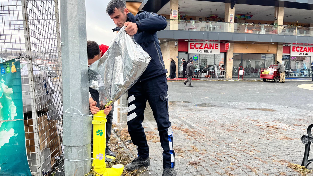 Kış gününü sokak hayvanlarını yalnız bırakmadılar. Umut oldular