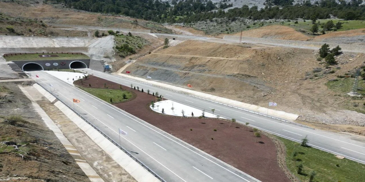 Konya'da araç kullananlar bu yola girmek istemiyor. Domuz sayısı giderek artıyor