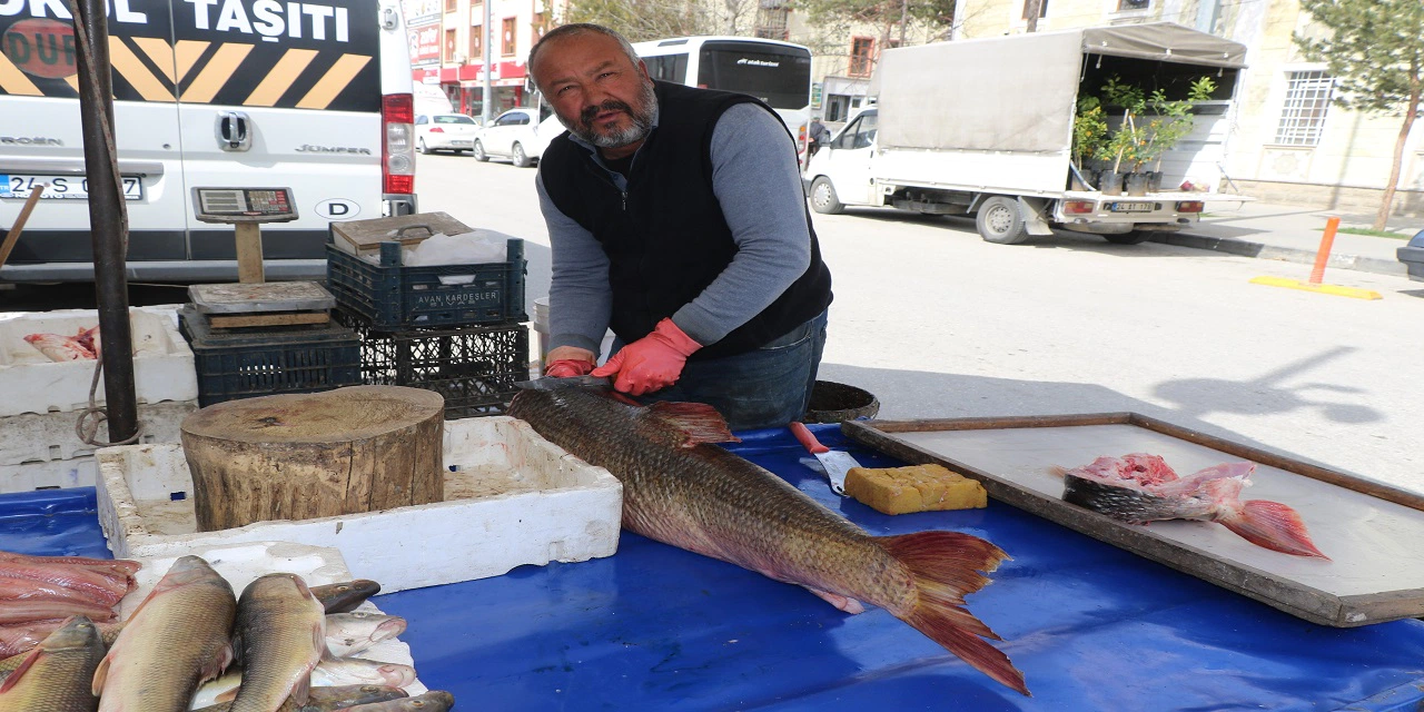 Tam 33 kilo, 1,5 metre boyunda, fiyatı ise düşündüğünüz gibi olmayabilir