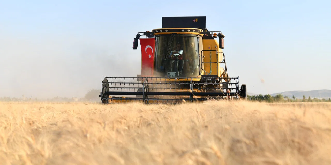 Konya Ovası'nda sezonun son buğday hasadı yapıldı