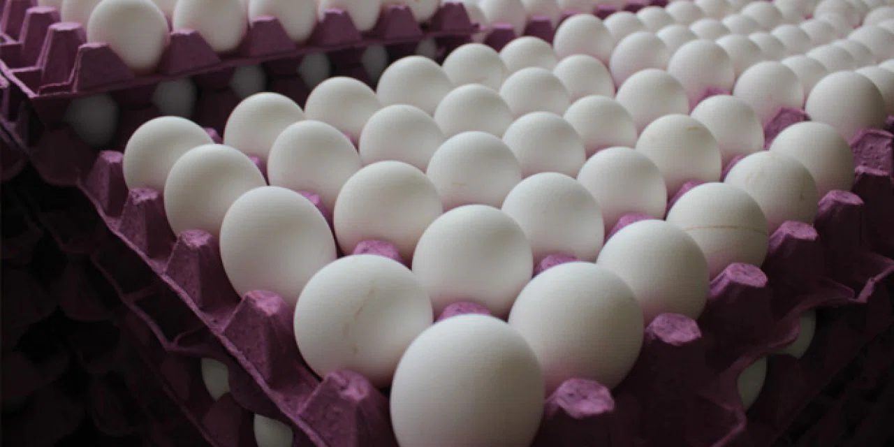 Bakanlıktan marketlere ''pahalı yumurta'' operasyonu yapması istendi