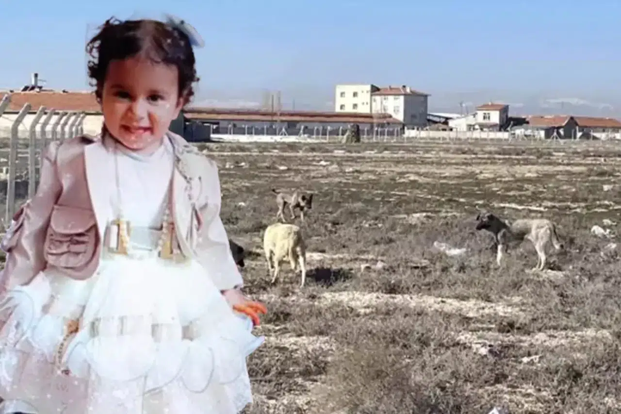 Konya'da köpeklerin öldürdüğü Rana Bebeğin kesin otopsi raporu açıklandı. 1 kişi tutuklandı