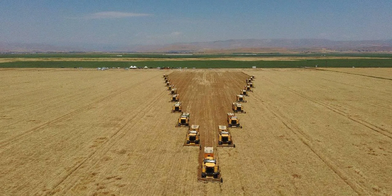 Her yıl rekora koşan Konya bu yıl hayal kırıklığına uğrattı. 70 dekardan 3 ton arpa çıktı