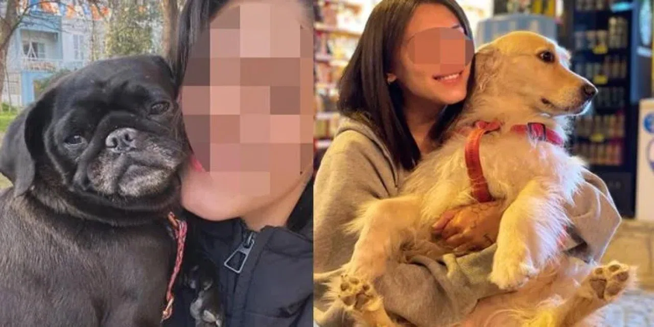 Başıboş saldırgan köpeği besleyene hapis cezası