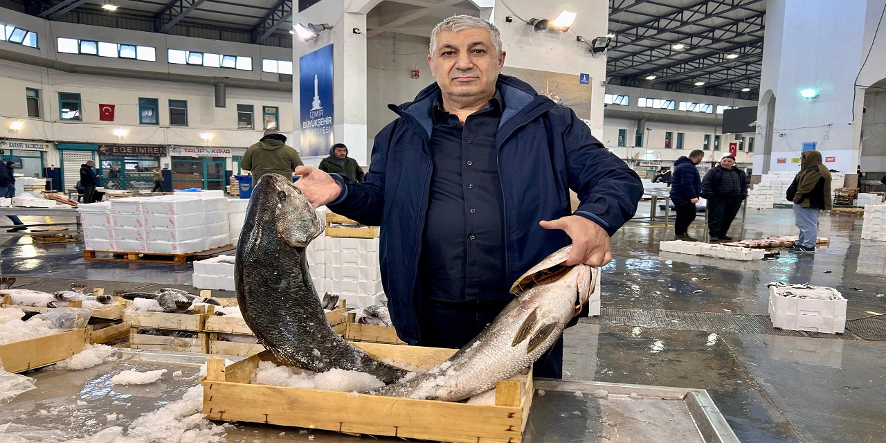 Av yasağı  öncesi denizlerde balık bereketi