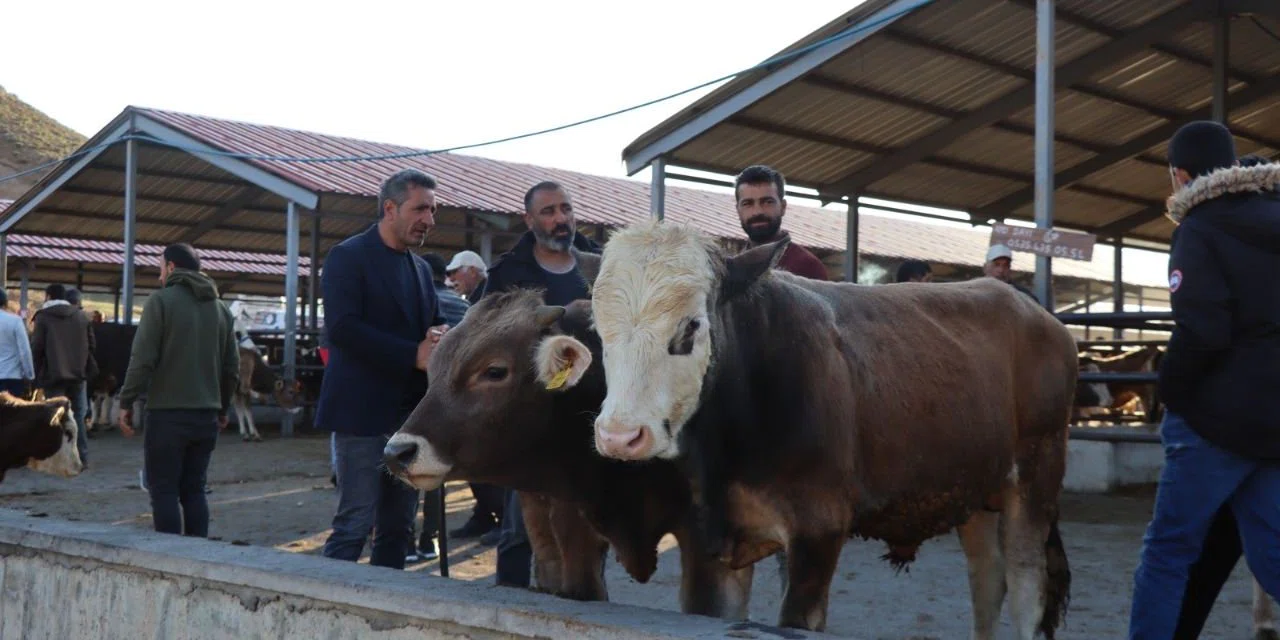 Kurban hisse bedelleri açıklandı! İşte 2025 yılı bedelleri