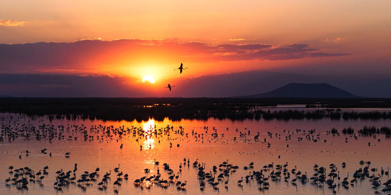 Konya'da Tuz turizmi: Ekolojik turizmde yeni bir anlayış ve yepyeni bir lokasyon