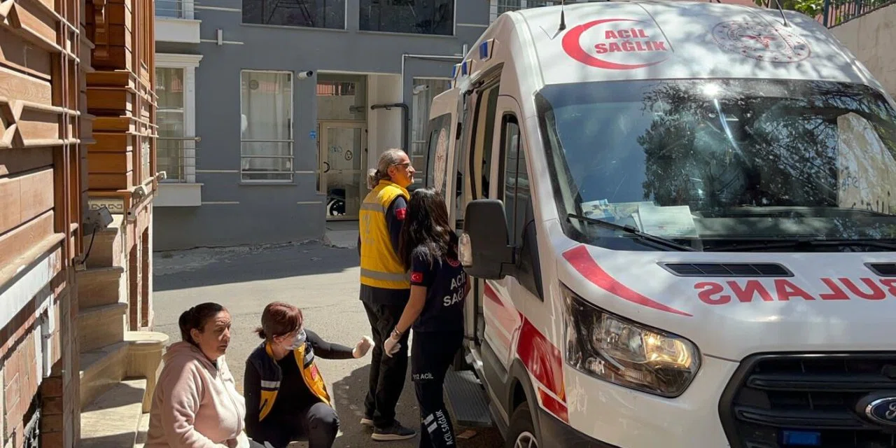 Yine başıboş köpek saldırısı; bir kadın yaralandı