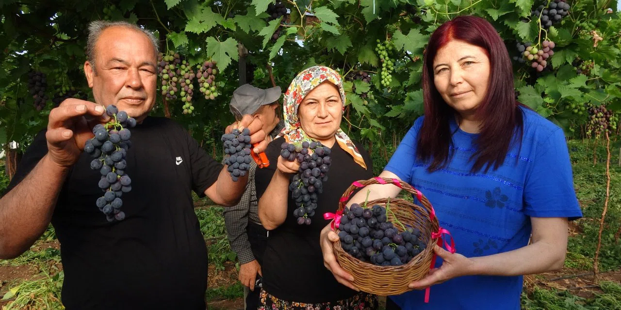 O şehrin siyah incisi; kilosu tam 250 lira