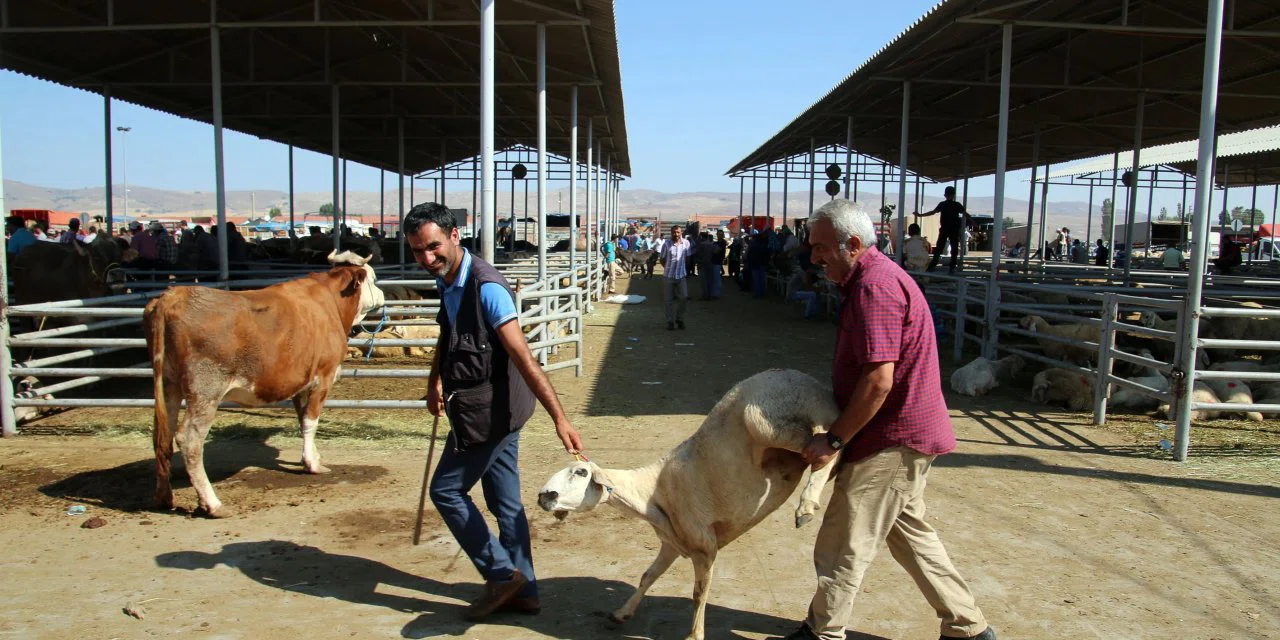 Kurban kesenler dikkat! Maddi ve manevi tazminat alabilirsiniz