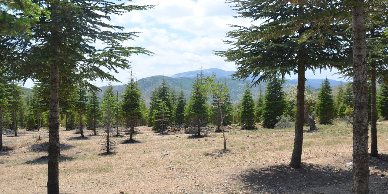 Bu mekan Konya manzarasında gıda üretimi yapıyor. 400'ü aşkın hayvan var