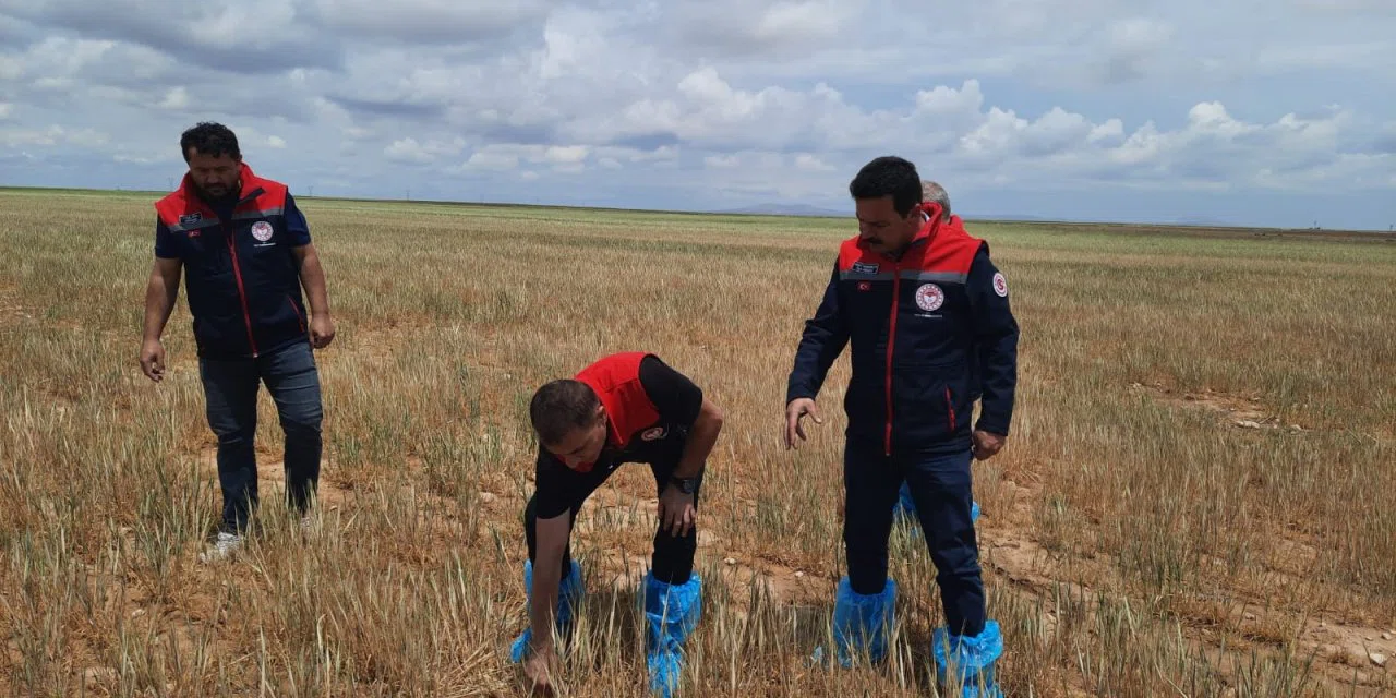 Konya’da üst düzey yönetici çizme galoşunu giyip arazi teftişine çıktı