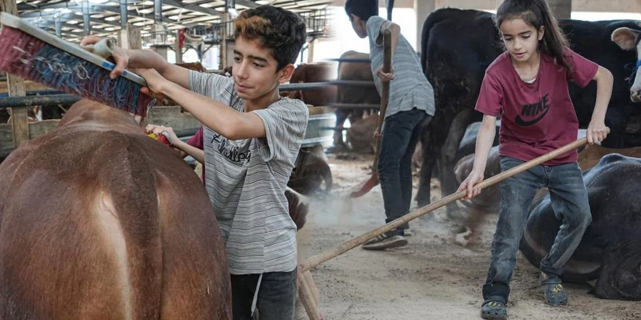 Biri 12, diğeri 8 yaşında: Kurban pazarı oyun alanları oldu