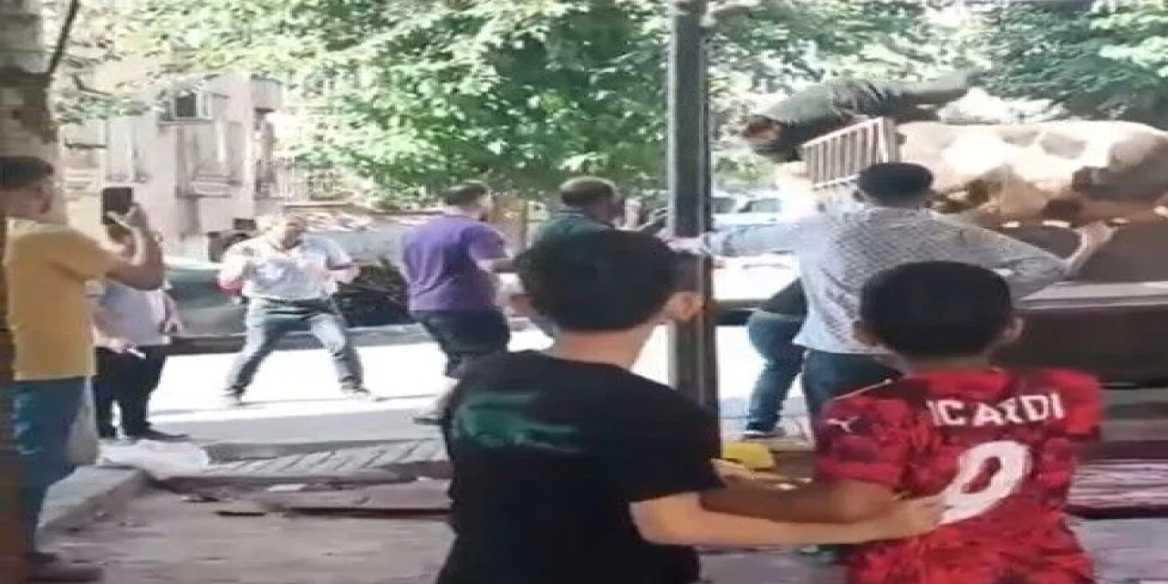 Kurbanlık boğa saldırısı: Kasap kamyonet kasasında ölümden döndü
