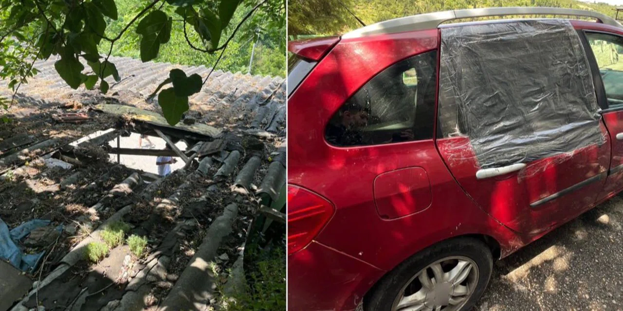 Başlarına boğa düştü, kimse ne olduğunu anlamadı!