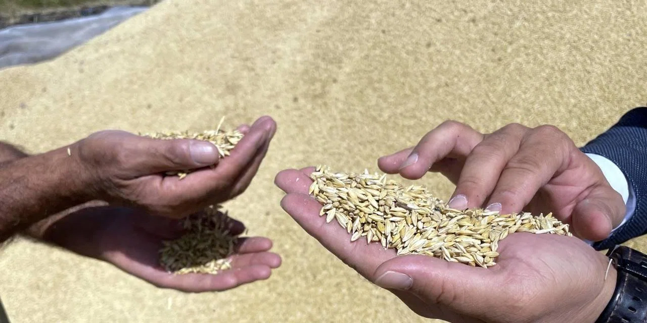 Hububatta ihracat rekoru kırıldı: Konyalı çiftçiler buğday alım fiyatlarının enflasyonla uyumlu belirlenmesini istiyor