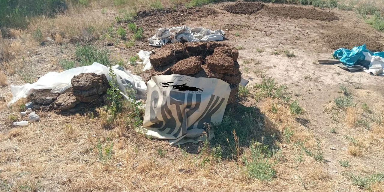Konya'da tezek altın değerinde: Fiyatını duyunca inanamayacaksınız