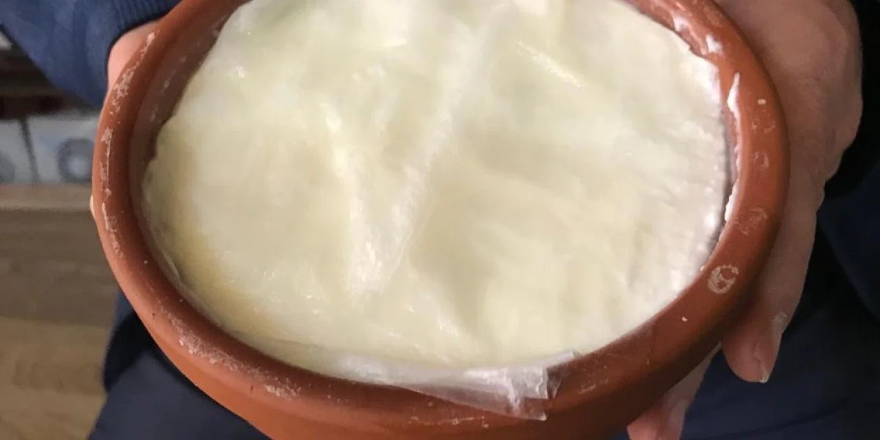 Ünlü Yoğurt Markası Toplatılıyor: İçinden Çıkanlar Hayrete Düşürdü