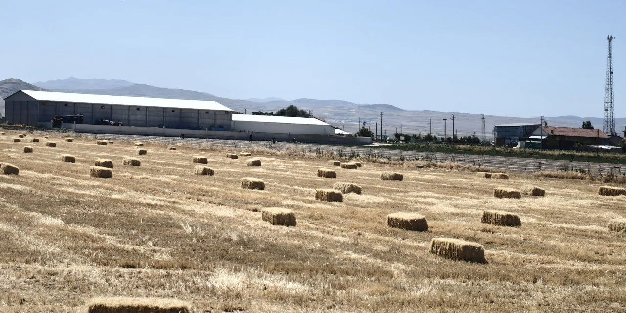 Konya Ovası'nda zamlar peş peşe geliyor. Hayvancılık sektörü bu fiyatı bekliyordu