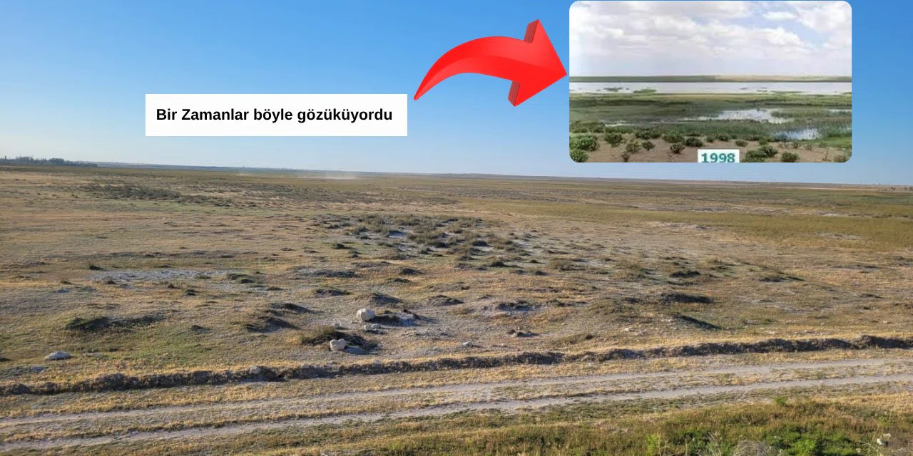 Konya ile Aksaray arasındaki kuş cenneti göl, çöl oldu! Eşmekaya Sazlığından geriye türküsü kaldı