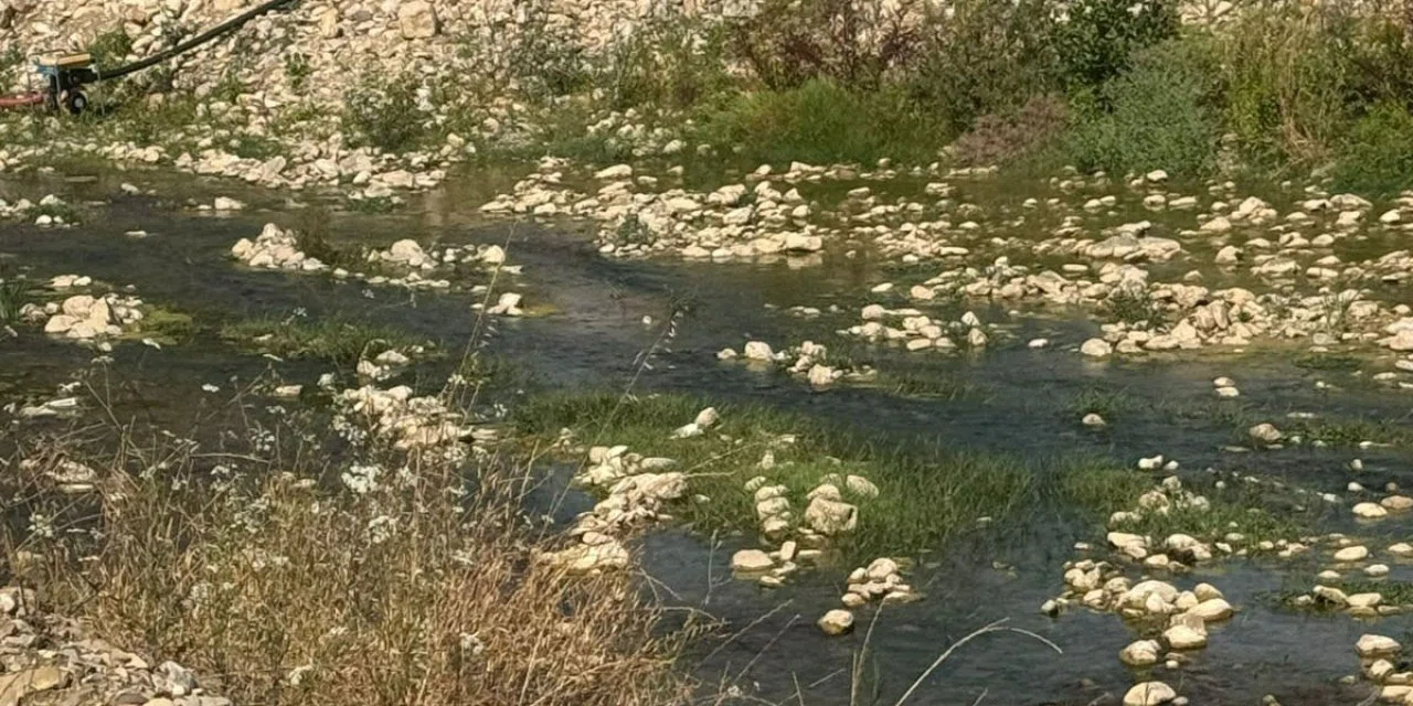 Bahçesini sulamak için gitti, geri dönemedi