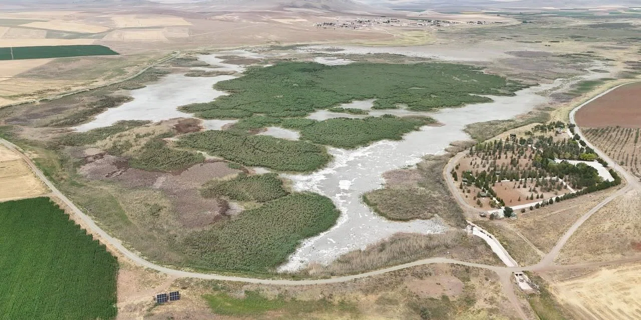 Konya'nın kuşları ile meşhur 4 gölü kurudu. Allı Turnalar evsiz kaldı