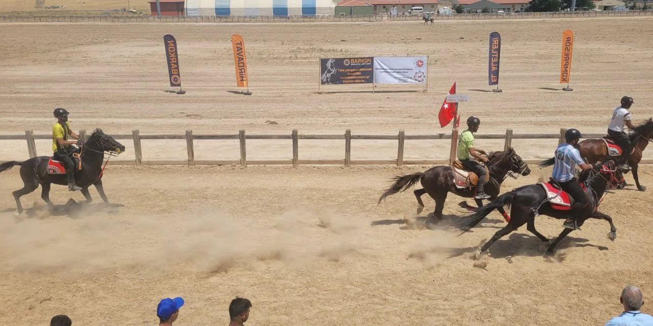 Konya’daki bu atlar 48 yıldır koşuyor. Yarışa çok sayıda şehir katıldı