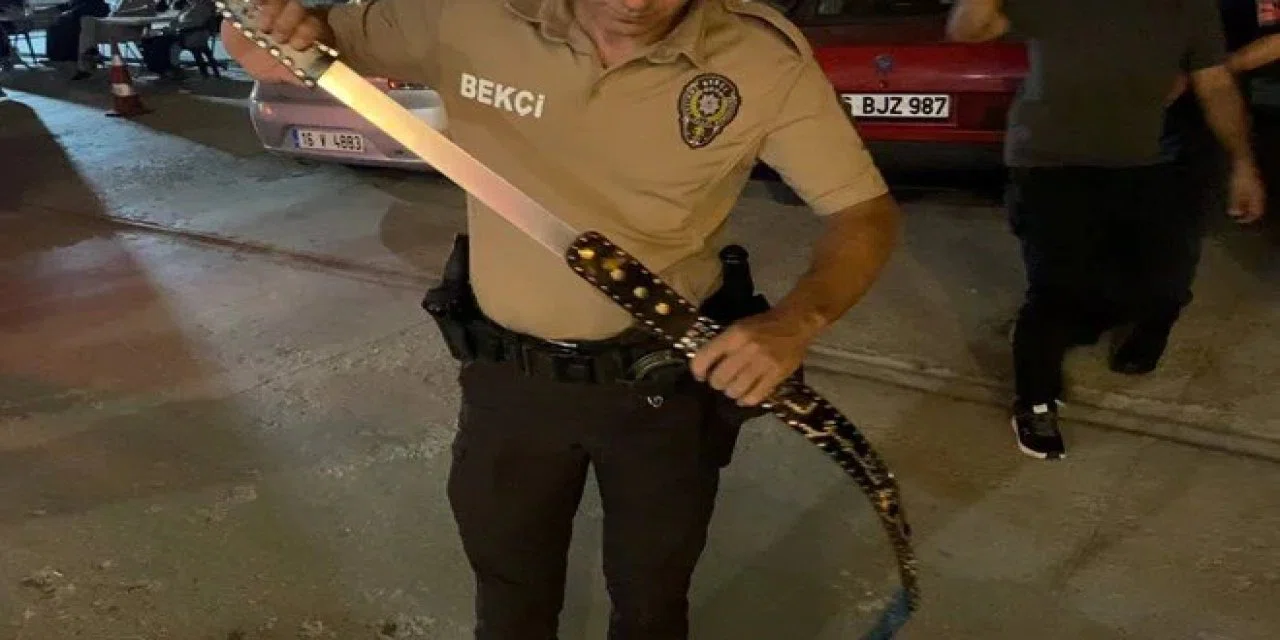 Kimi katledecekti? Bekçi de gördüğü karşısında şok oldu