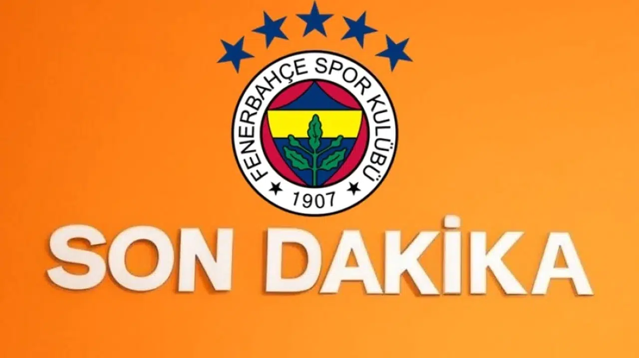 Fenerbahçe deplasmanda Feyenoord'a 2-1 mağlup oldu