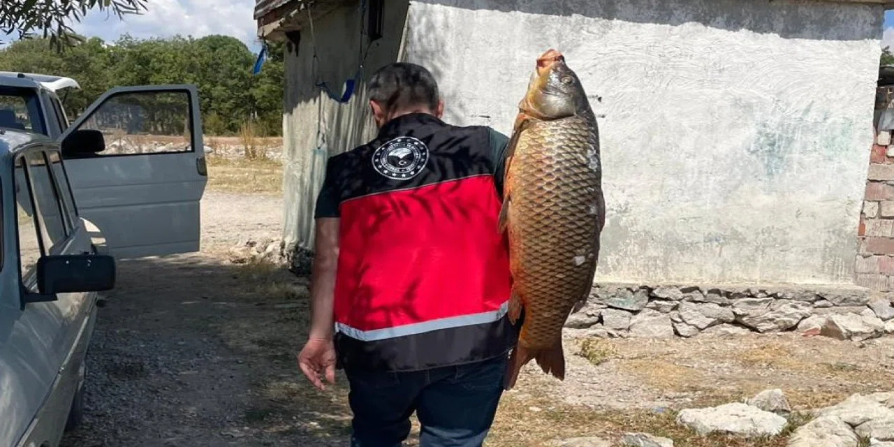 Beyşehir'de balık boyları ölçüldü