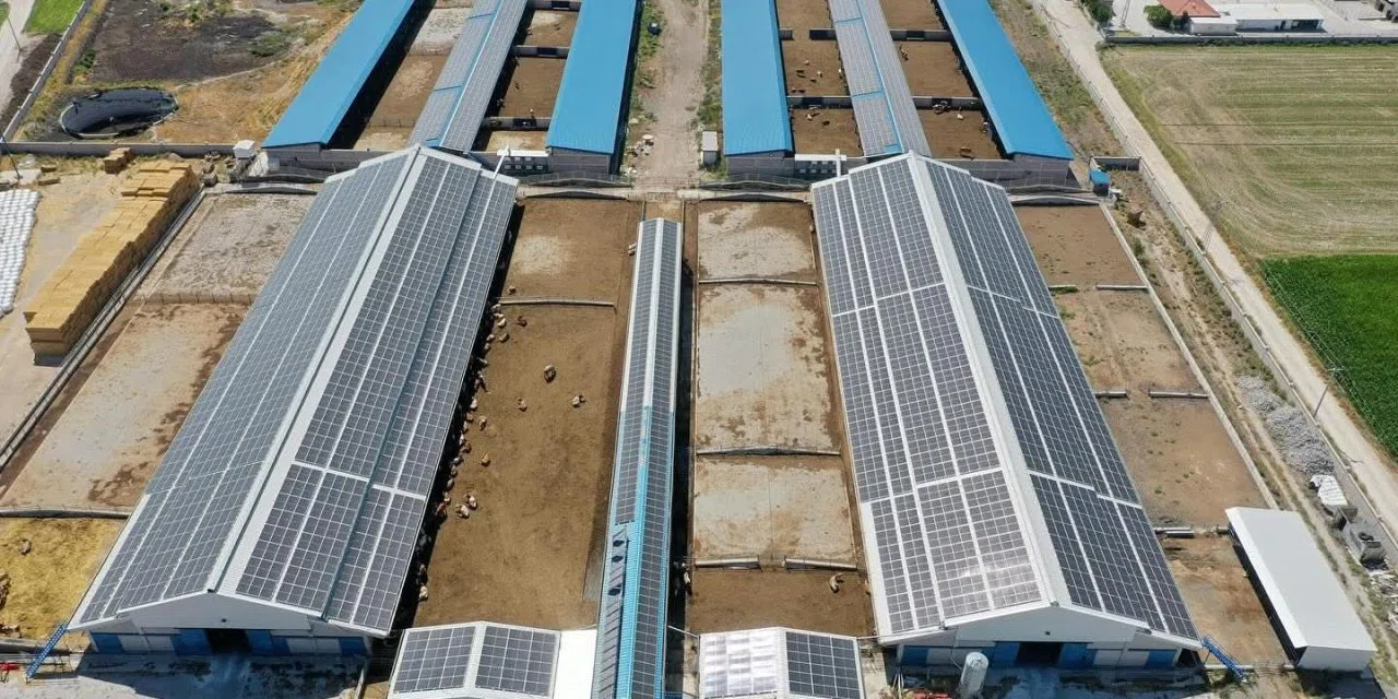 Konya'daki dev çiftlikten enerji yatırımı. Elektrik ihtiyacının tamamını güneşten karşılayacak