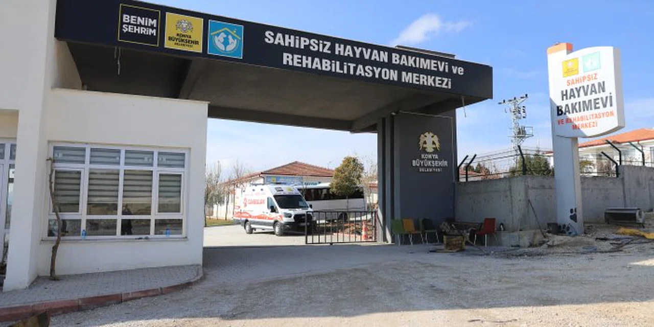 Konya'daki barınak olayı ile ilgili iddianame hazırlandı