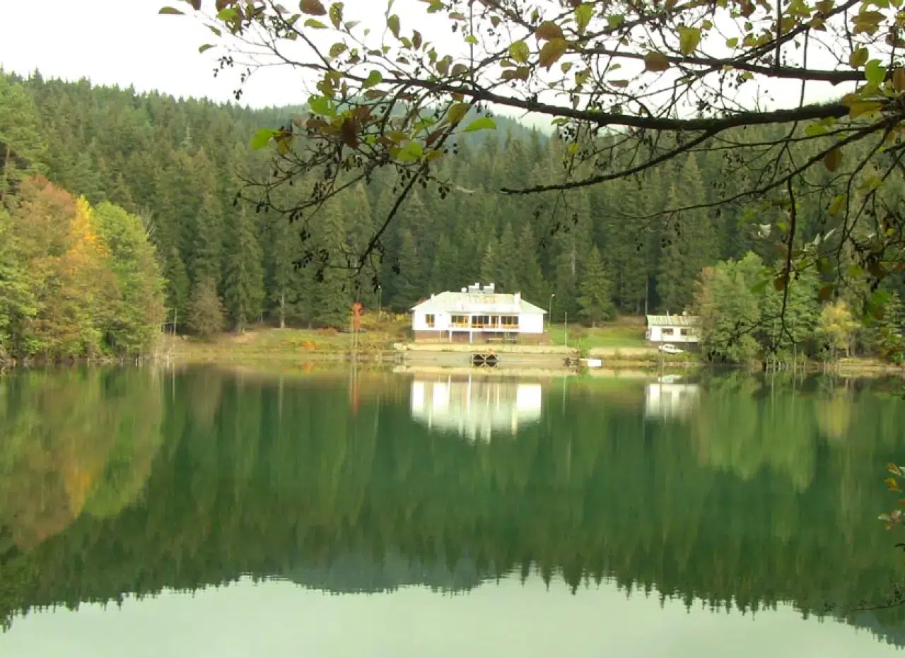 Milli parkı kirletene hapis cezası: Milli park alanları imara açılıyor