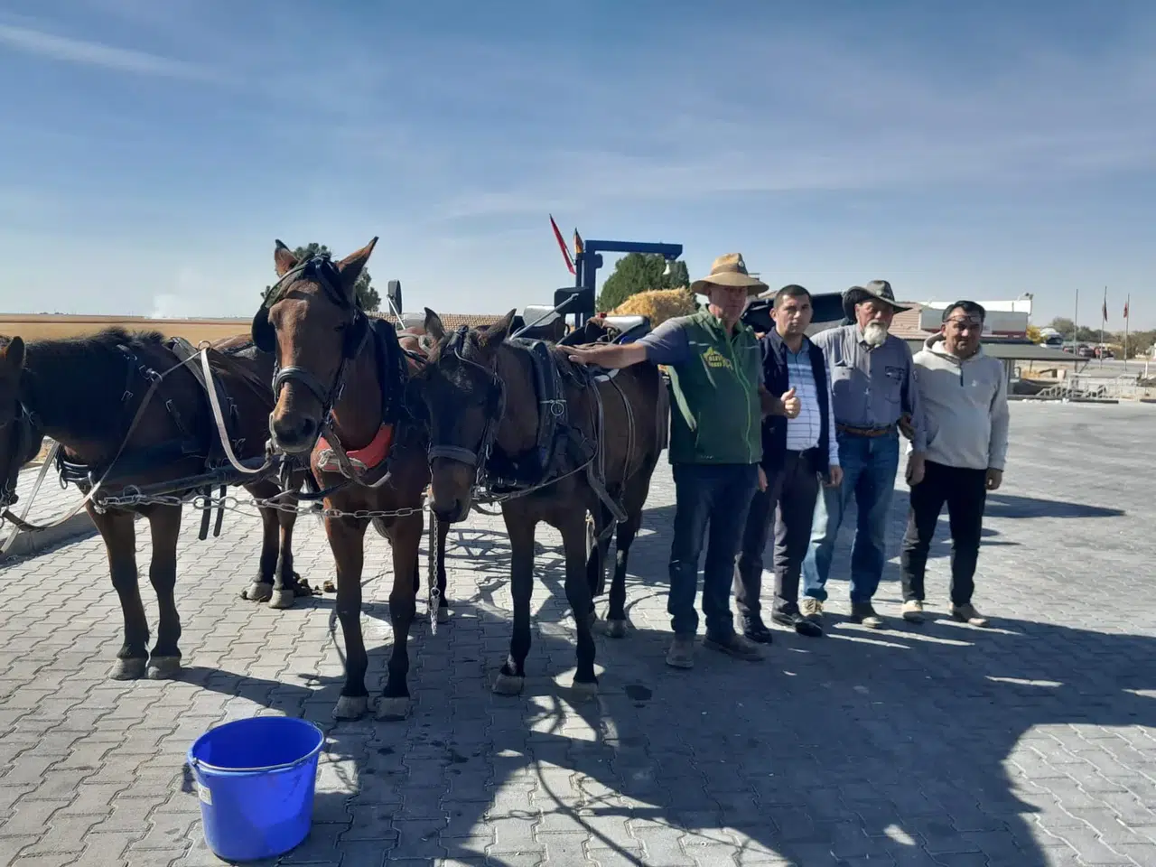 Dünyanın bir ucundan Barış için Konya'ya geldiler! Faytonla yolculuk
