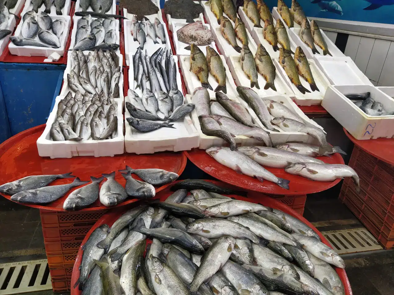 Konyalı vatandaşlar balık için sıraya girdi: Hafta sonu akına uğradı