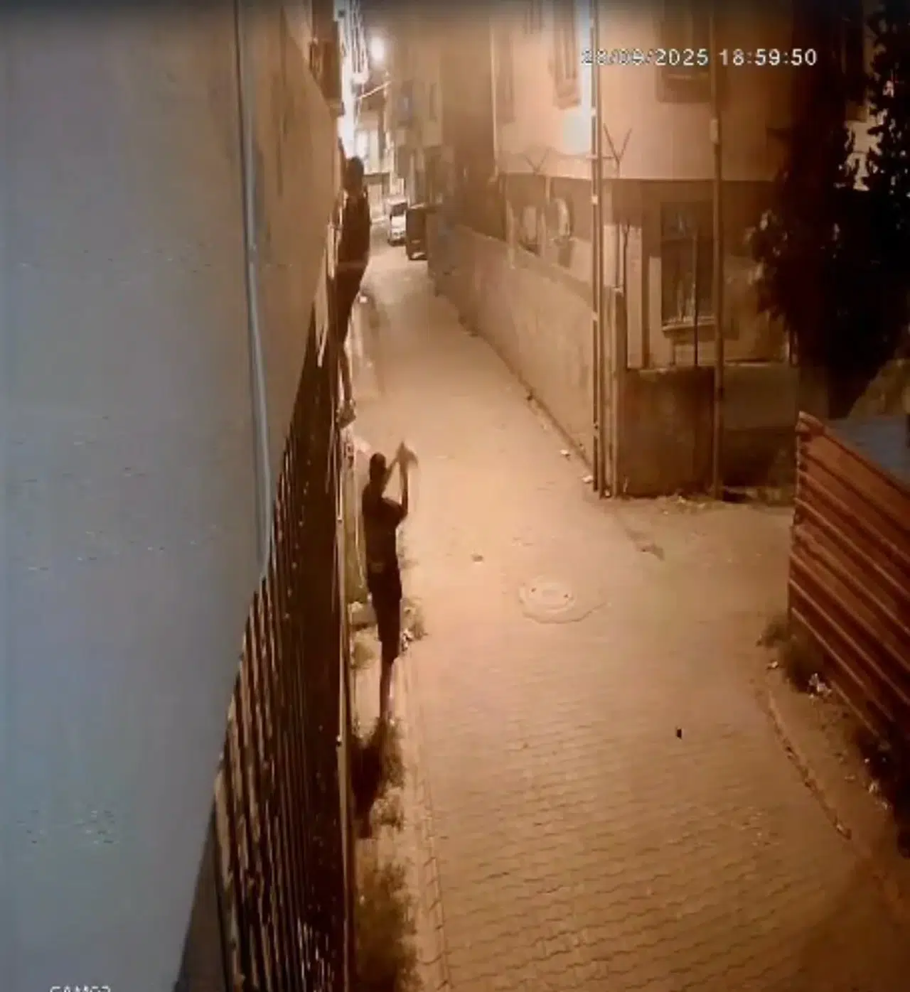 Korkuluklardan tırmanıp penceredeki kediyi böyle çaldılar