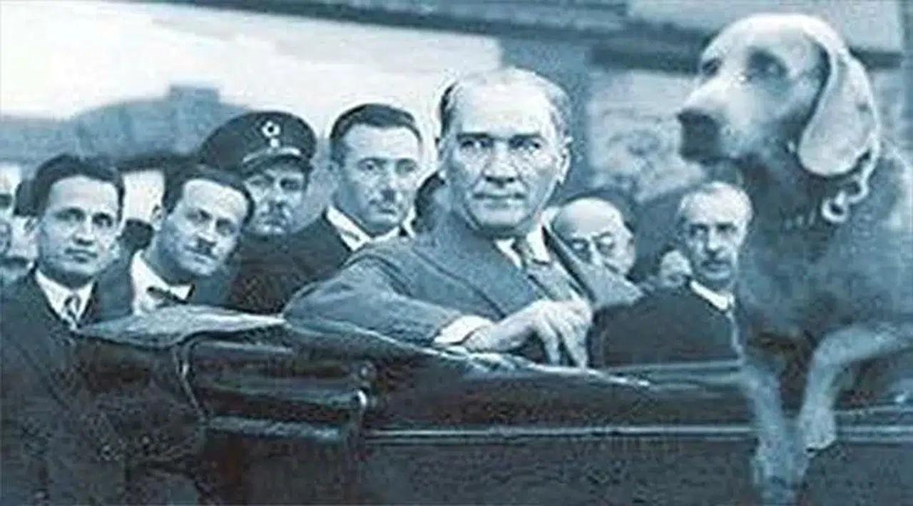 Atatürk'ün sadık dostu Foks! Çankaya Köşkü'nde besledi