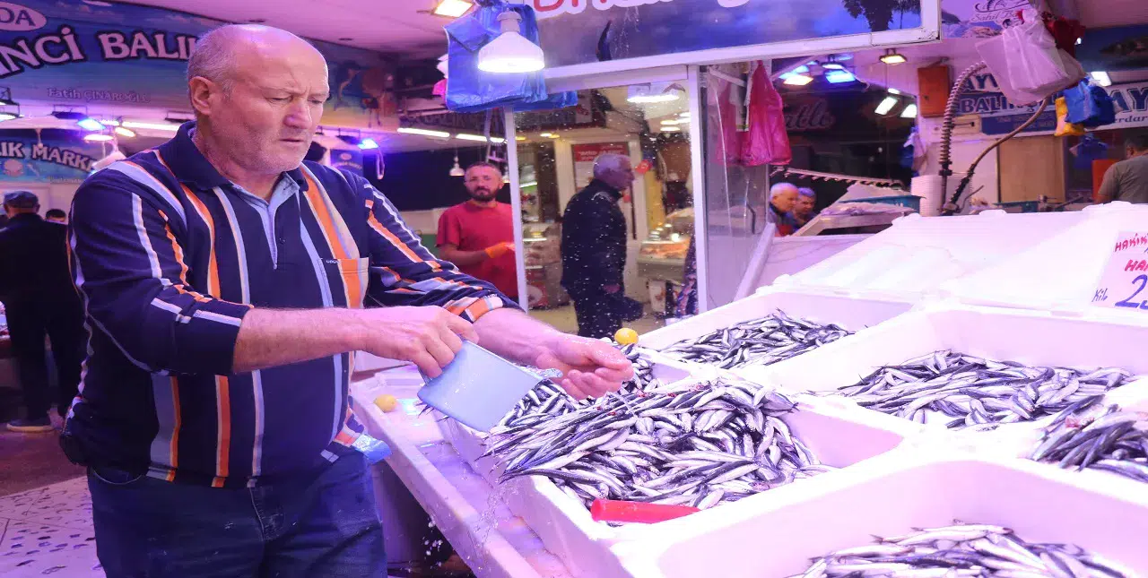 Palamut yok hamsi verelim: Balık tezgâhlarında hamsi bereketi