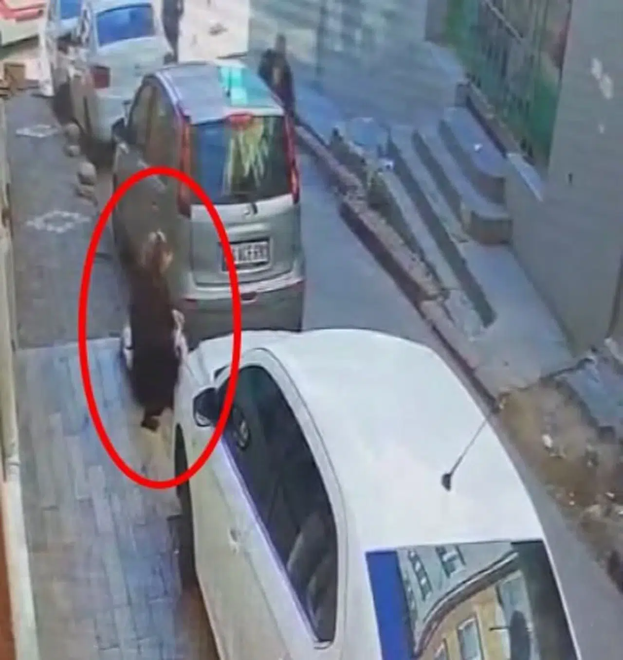 Yaylı kadının 600 bin TL'lik altın kesesini aldılar: Yüz tanıma sistemiyle bulundu