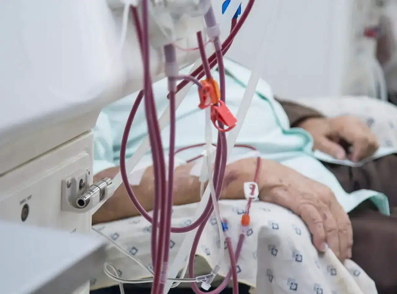 Organ naklinde devrim: Her kan grubuna uyan böbrek geliştirildi