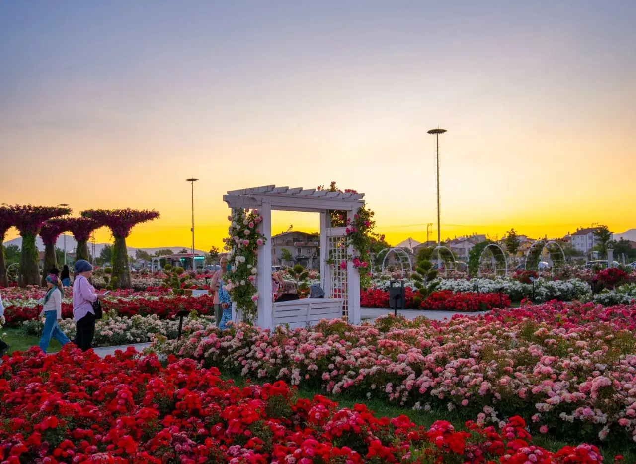 Konya'nın güllerle dolu bahçesi kapanıyor: Son kareler çekilecek