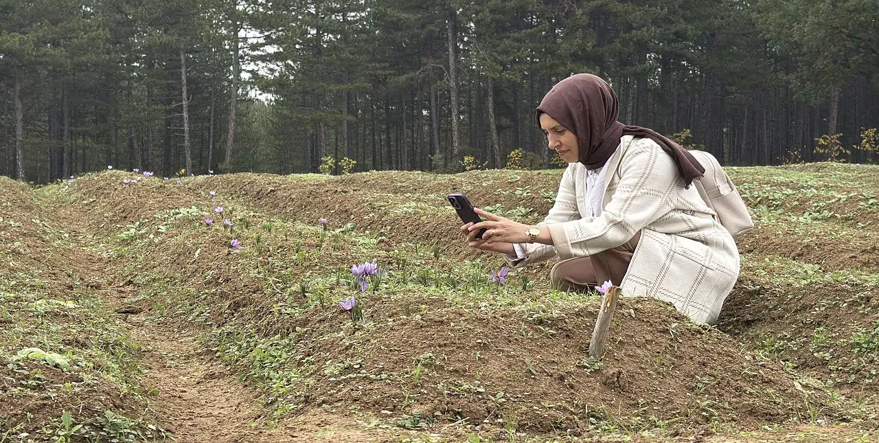 Kilosu 600 bin lira: Bu insanlar onu ancak fotoğraflayabiliyorlar