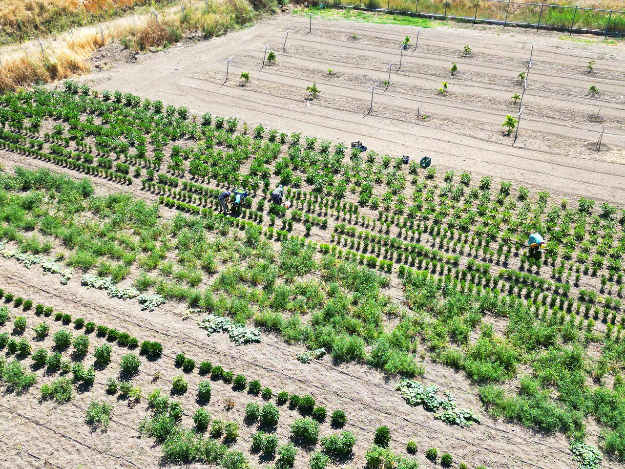 Eti Alüminyum maden sahalarına yeşil dokunuş yaptı