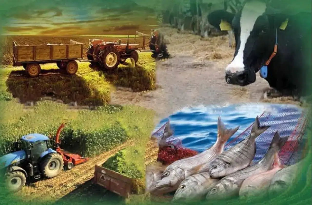 Ahır, samanlık, kavaklık, koruluk, taşlık, traktör, biçerdöver: Her şey sayılıyor