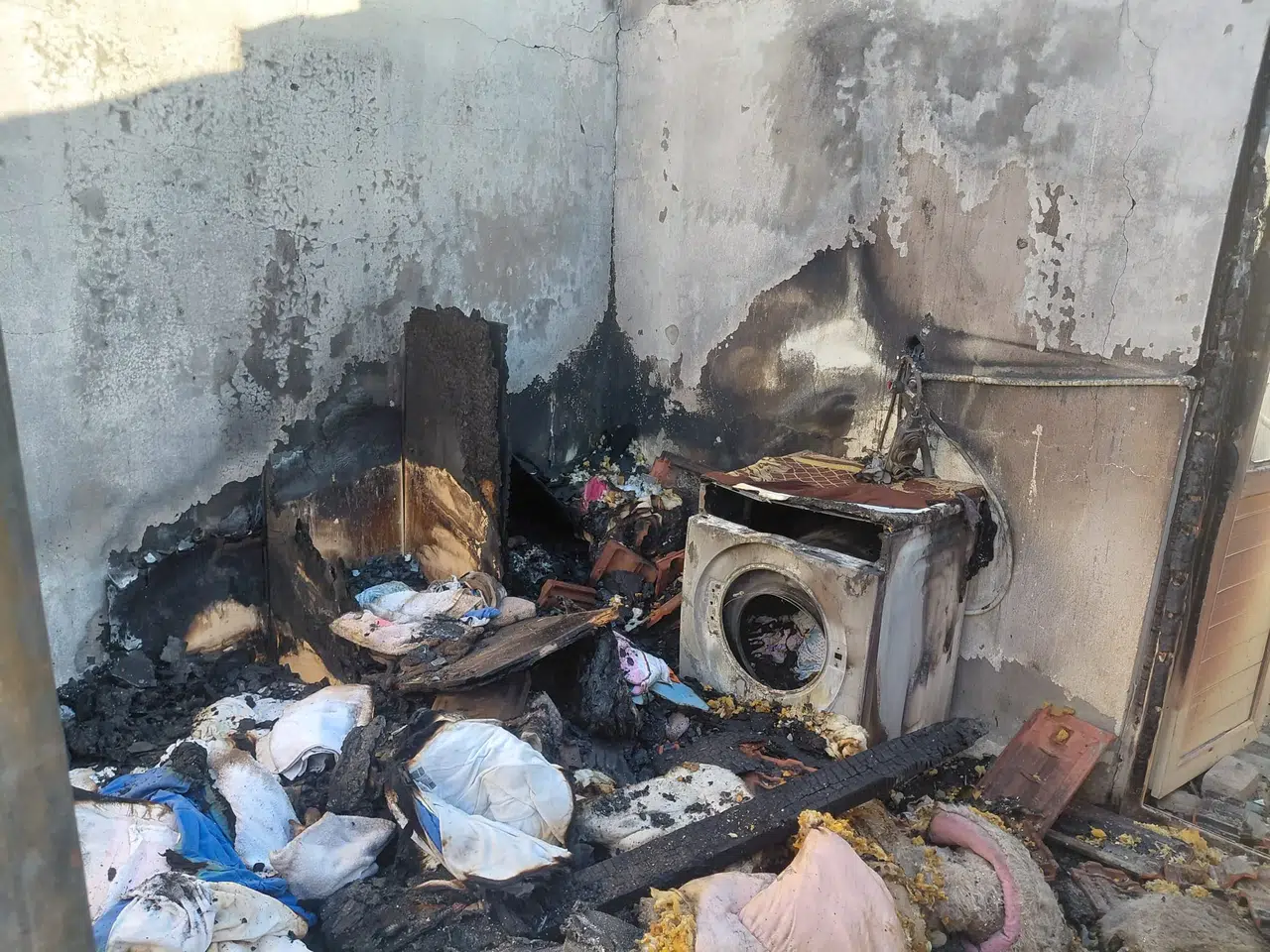 Hayvansever kadın ve 20 kedi: Her şey küle döndü