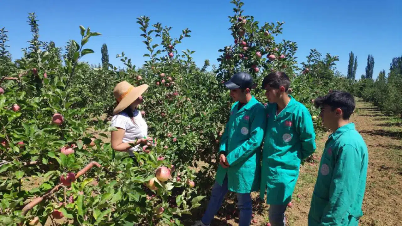 Konya güvenli ve sağlıklı gıdada ilk sırada: Organik tarım yapılıyor doğal üretiyor