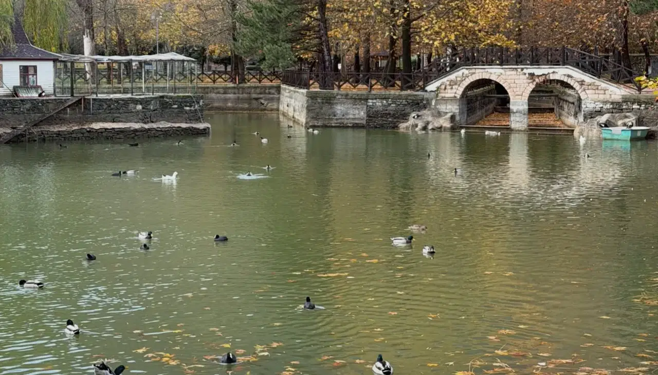 Konya’nın gözbebeği Kuğulu Park’ta sonbahar resitali