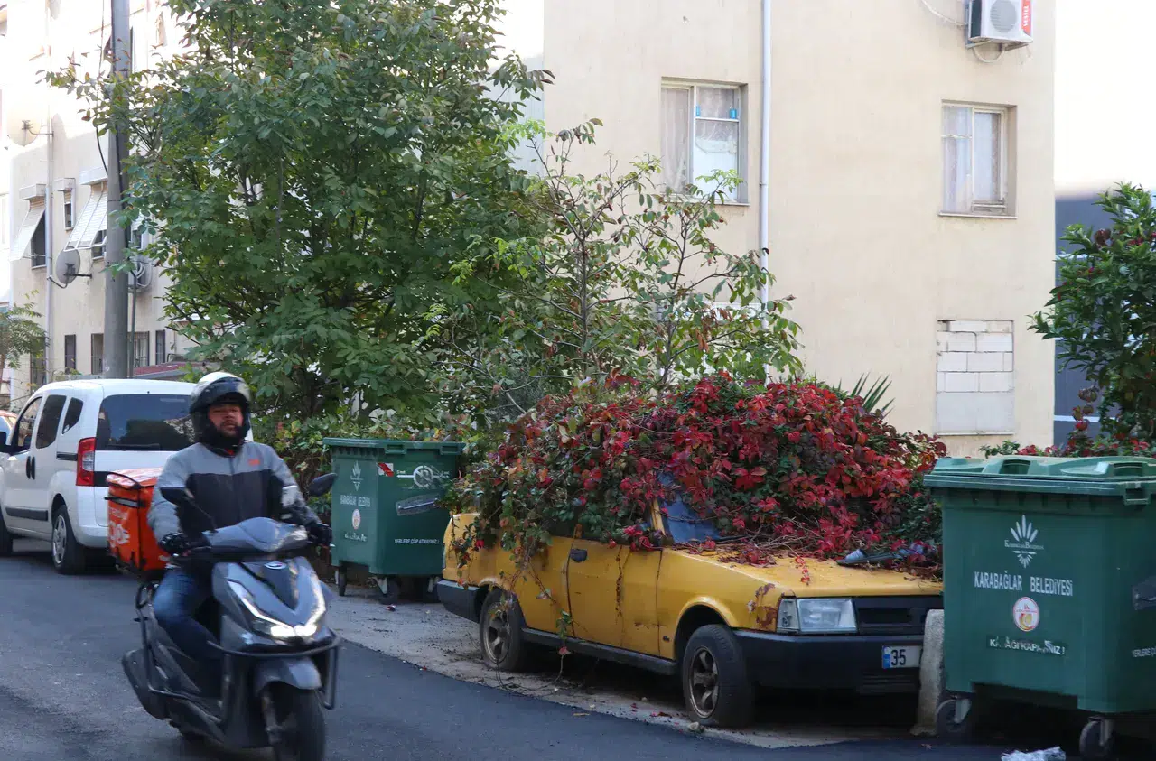 Sahibi öldü o da ölüme terk edildi: 8 yılda sarmaşık her yerini sardı